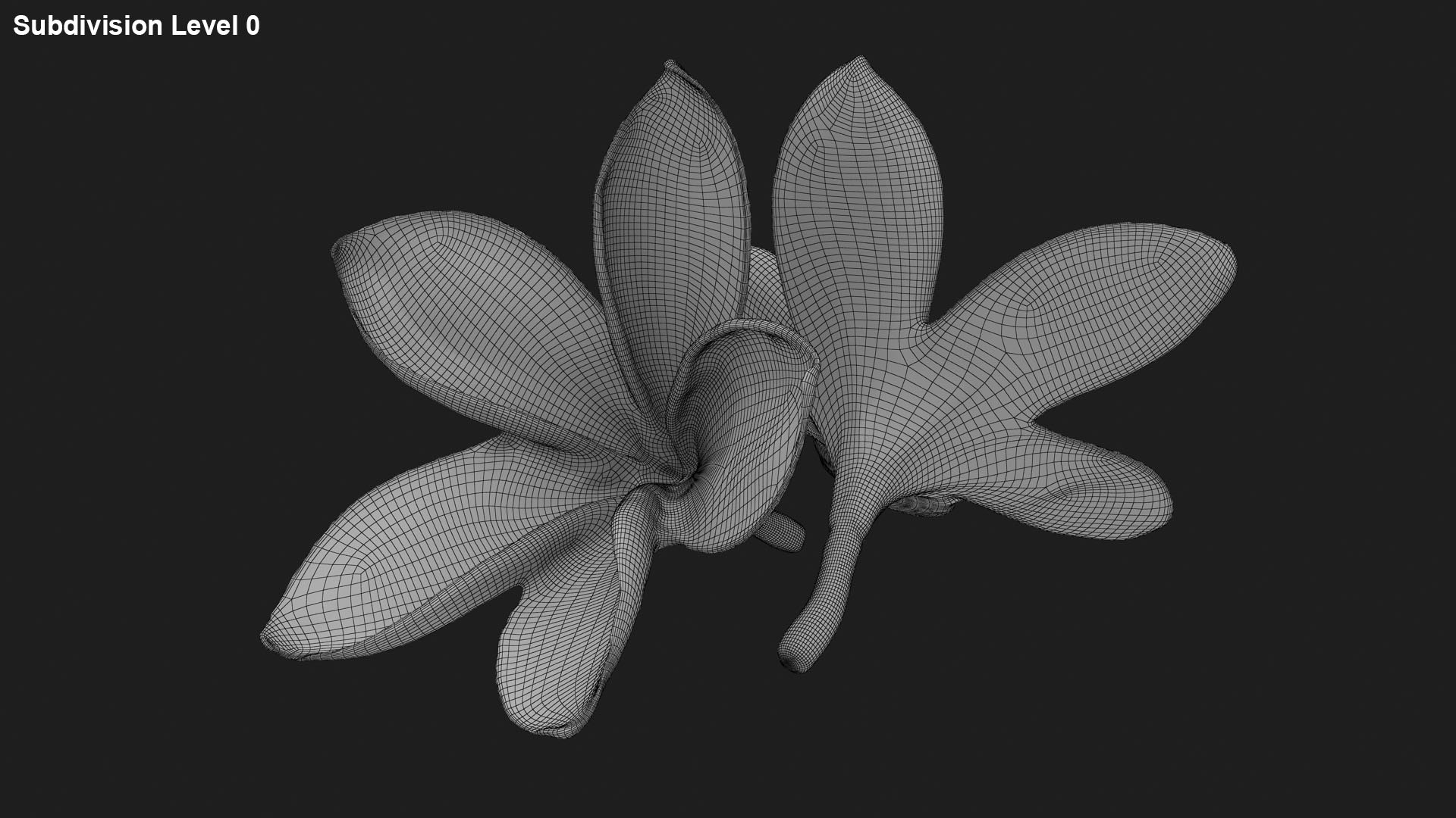 Two Pink Plumeria 3D model https://p.turbosquid.com/ts-thumb/t5/kPAC4s/0G/plumeriapink_g0001/jpg/1732605755/1920x1080/fit_q87/ada6fc85db90f09a8bd6d163f58151403fe4a0ad/plumeriapink_g0001.jpg