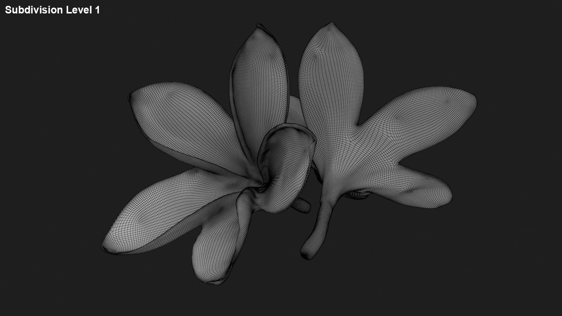 Two Pink Plumeria 3D model https://p.turbosquid.com/ts-thumb/t5/kPAC4s/55/plumeriapink_g0002/jpg/1732605756/1920x1080/fit_q87/a0947087cc818a82d107d56a11584f7e2d4abf53/plumeriapink_g0002.jpg