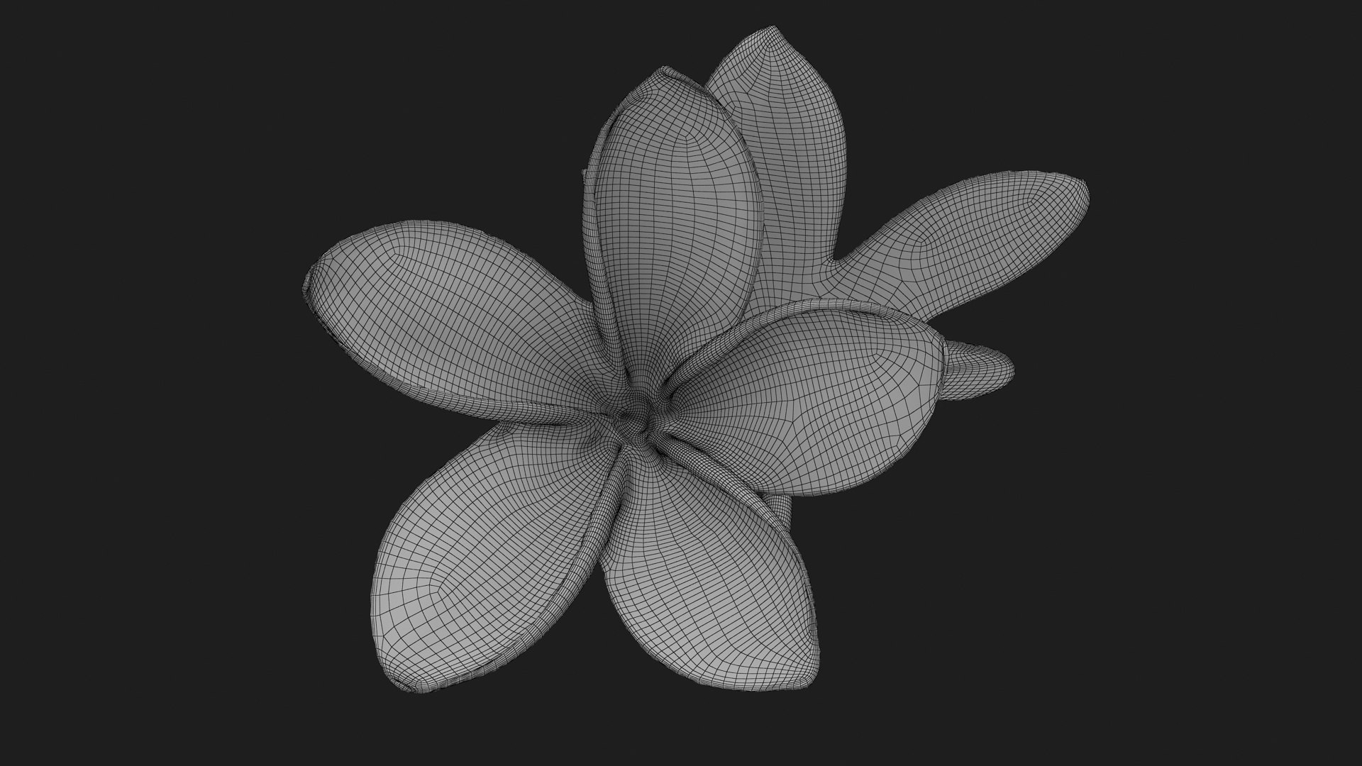 Two Pink Plumeria 3D model https://p.turbosquid.com/ts-thumb/t5/kPAC4s/LC/plumeriapink_g0003/jpg/1732605757/1920x1080/fit_q87/e18376e12016e605cd6972a15d5d4241a52533fe/plumeriapink_g0003.jpg