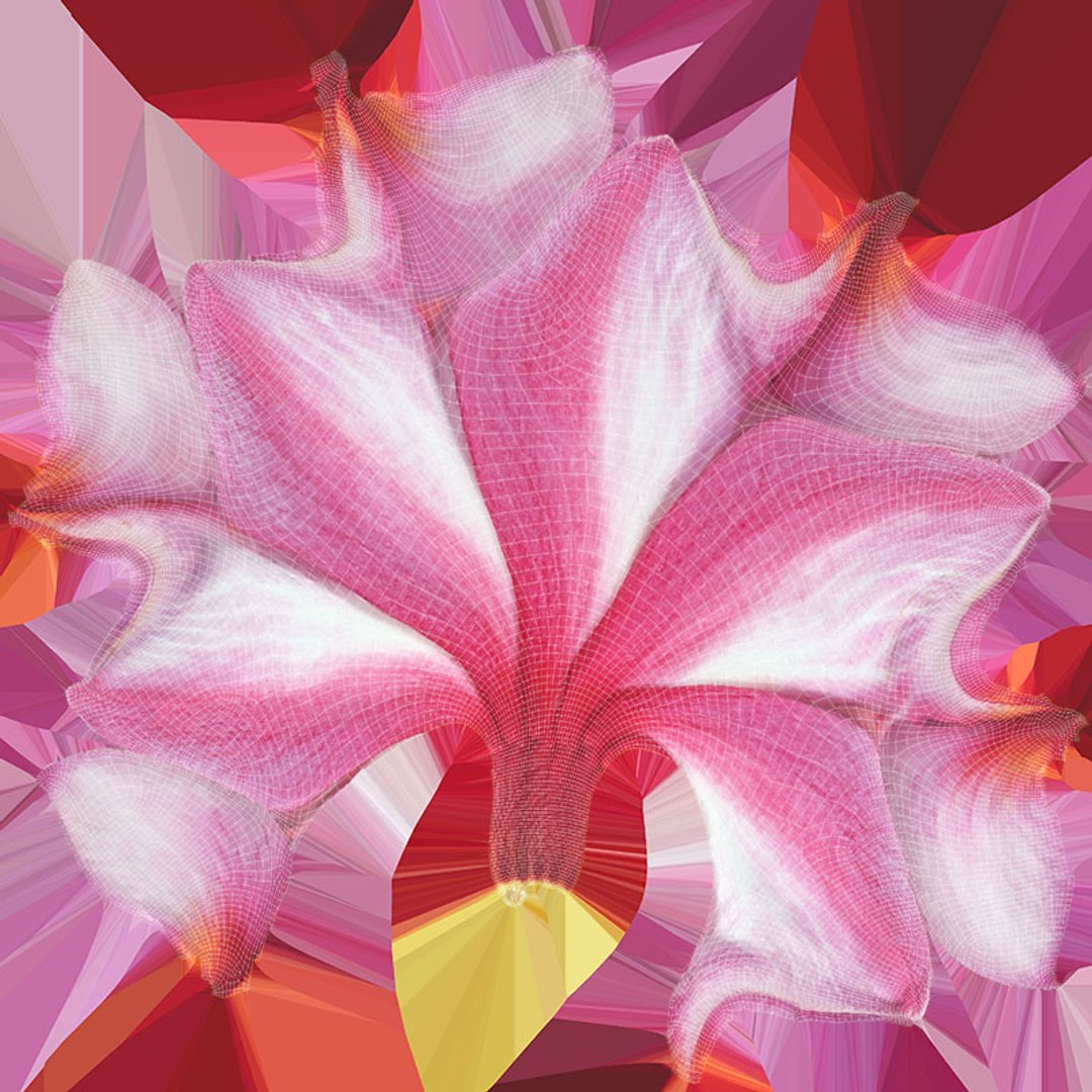 Two Pink Plumeria 3D model https://p.turbosquid.com/ts-thumb/t5/kPAC4s/rX/plumeriapink_d0004/jpg/1732605754/1920x1080/fit_q87/cada49b416cd0fc50e07f3563433b75467dc7668/plumeriapink_d0004.jpg