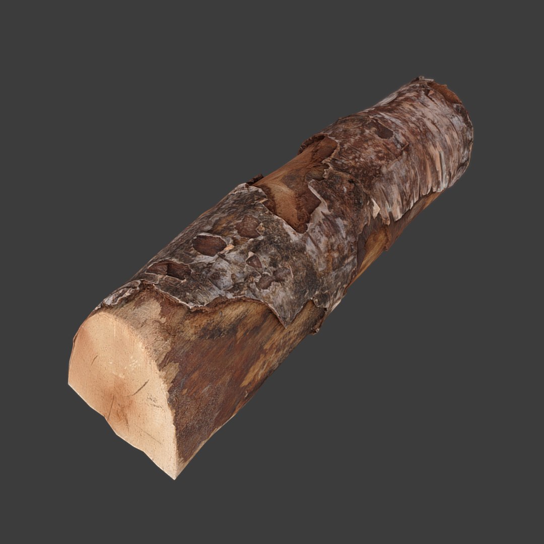 3d firewood log scan model