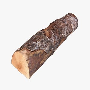 3d firewood log scan model