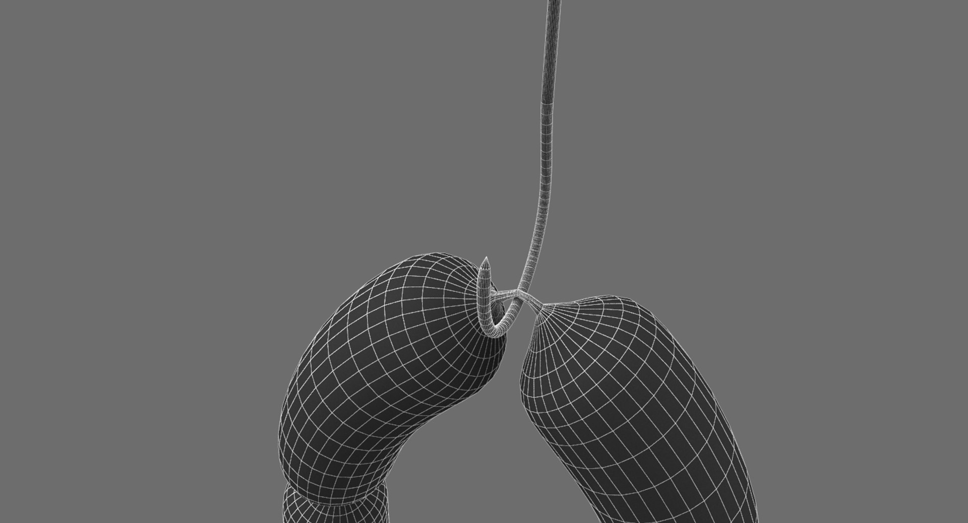 sausages hook model https://p.turbosquid.com/ts-thumb/t6/08rwqR/5msSbgkF/sausages0211/jpg/1527263514/1920x1080/fit_q87/e3bf4981326969416f1500859657664d0be5ee12/sausages0211.jpg