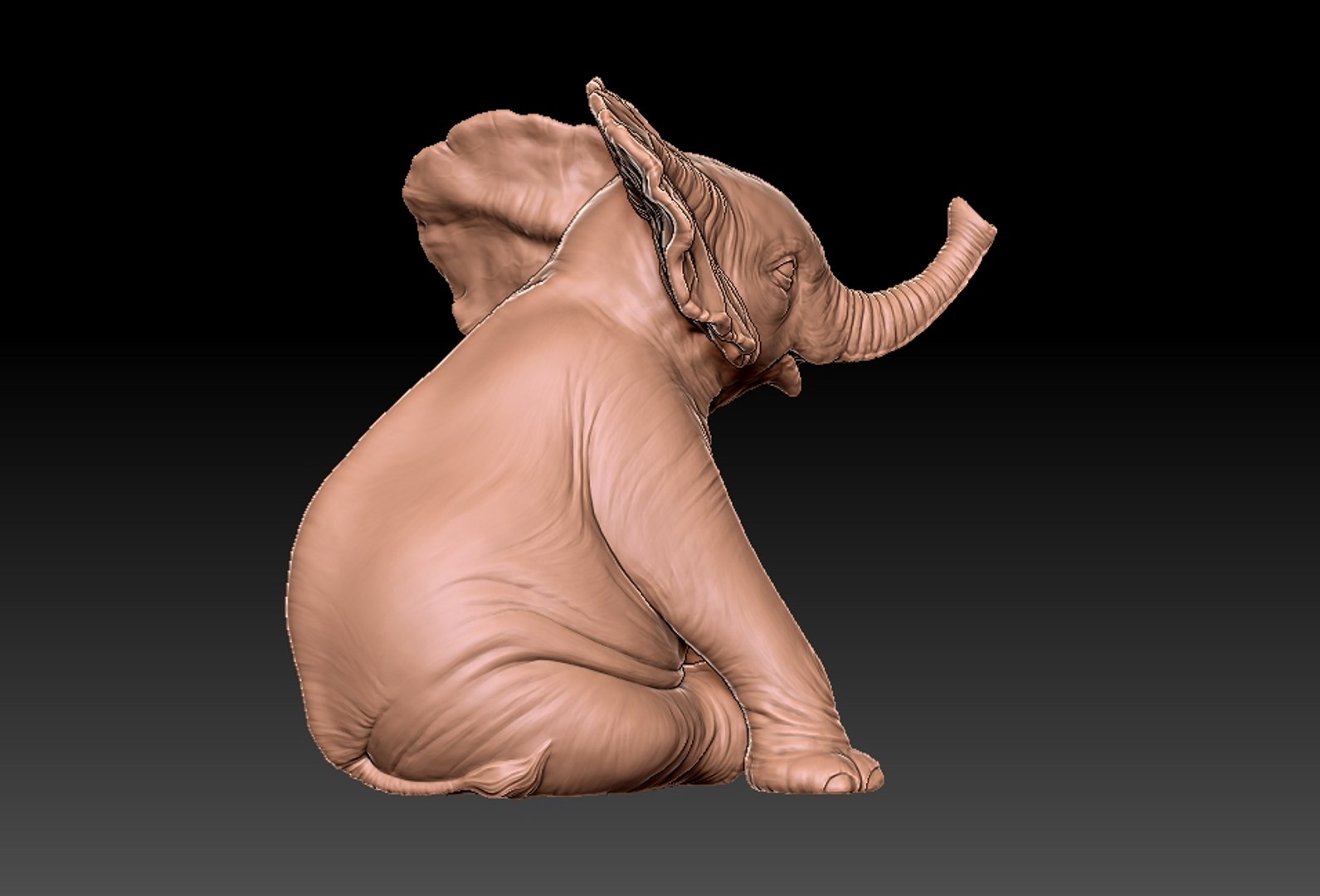baby elephant printing 3D https://p.turbosquid.com/ts-thumb/t6/ELrajH/3QTedIHI/18/jpg/1598828775/1920x1080/fit_q87/93dd88ee60ef4589b8d53faa555395c0d91dfbf9/18.jpg