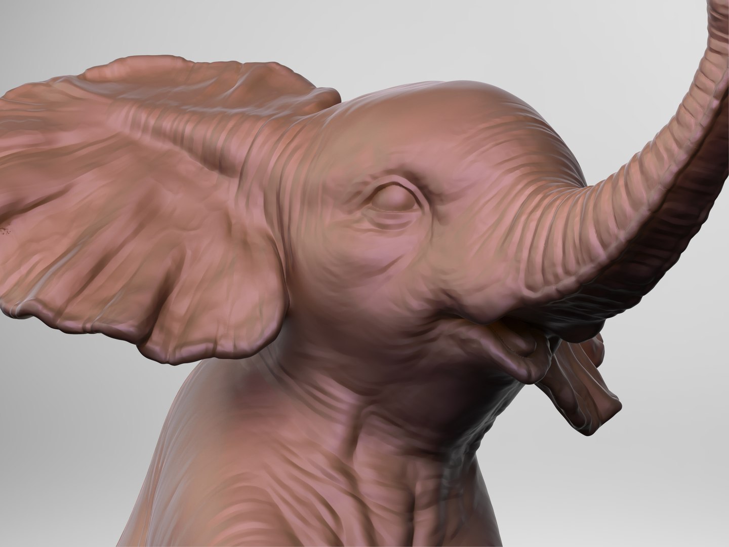 baby elephant printing 3D https://p.turbosquid.com/ts-thumb/t6/ELrajH/6FTAvb9Y/7/jpg/1598828418/1920x1080/fit_q87/09b8f0fe27e49549b1b33092acdf64c83fd1fc58/7.jpg