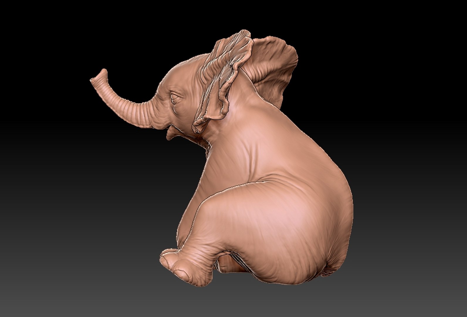 baby elephant printing 3D https://p.turbosquid.com/ts-thumb/t6/ELrajH/Rt0fyLqd/16/jpg/1598828653/1920x1080/fit_q87/babe1e8396e28f844d199acb37fad99c00d73946/16.jpg