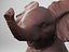 Bebé elefante para impresión 3D