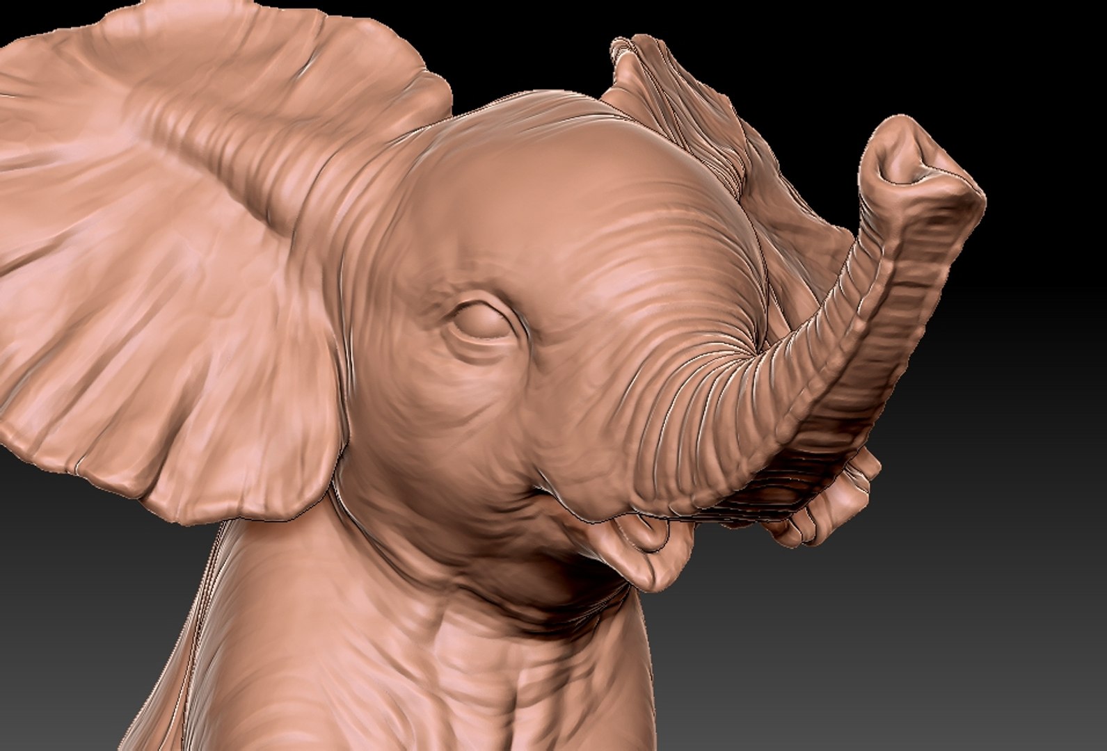 baby elephant printing 3D https://p.turbosquid.com/ts-thumb/t6/ELrajH/VQn2rHsb/20/jpg/1598828901/1920x1080/fit_q87/a3821d3794cbc3f19774a74b9950cebf069b4bde/20.jpg