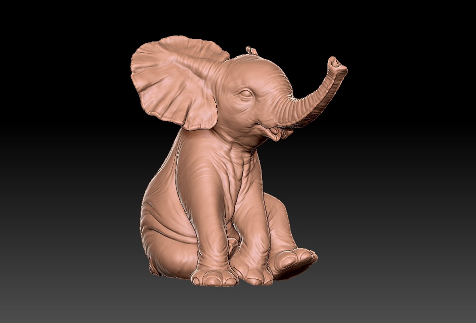 baby elephant printing 3D https://p.turbosquid.com/ts-thumb/t6/ELrajH/oTzRwcDP/19/jpg/1598828829/1920x1080/fit_q87/334634a22e98f03dfb11f46288828c88b7a9cf9c/19.jpg