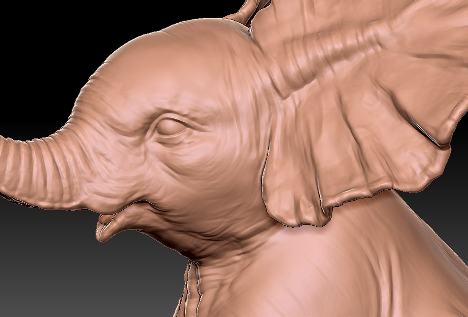 baby elephant printing 3D https://p.turbosquid.com/ts-thumb/t6/ELrajH/rPlWjKjS/22/jpg/1598828950/1920x1080/fit_q87/d3627d47ff2f86d316afc105d2c3b4e973db2158/22.jpg