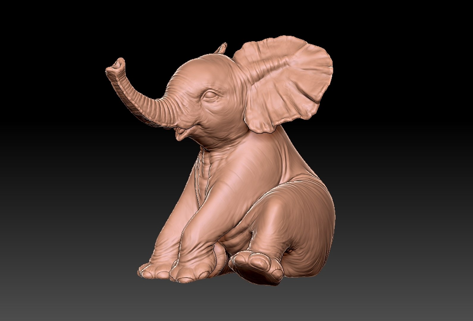 baby elephant printing 3D https://p.turbosquid.com/ts-thumb/t6/ELrajH/tveOmdDH/15/jpg/1598828632/1920x1080/fit_q87/189674bc90ed2c92ab82bcc1542be016d1a92533/15.jpg