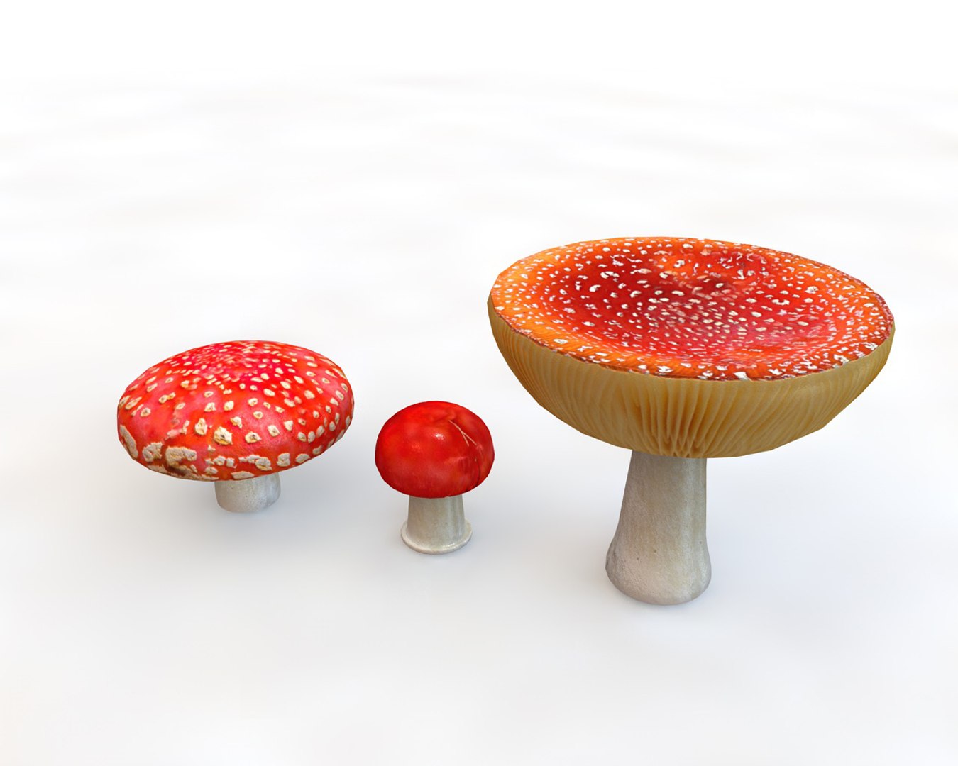 vegetables 3D https://p.turbosquid.com/ts-thumb/t6/QpyG6F/0SvHL2Ds/1/jpg/1587317465/1920x1080/fit_q87/b3f96492858b1c2ad933e83a1dc1afbc398e7952/1.jpg