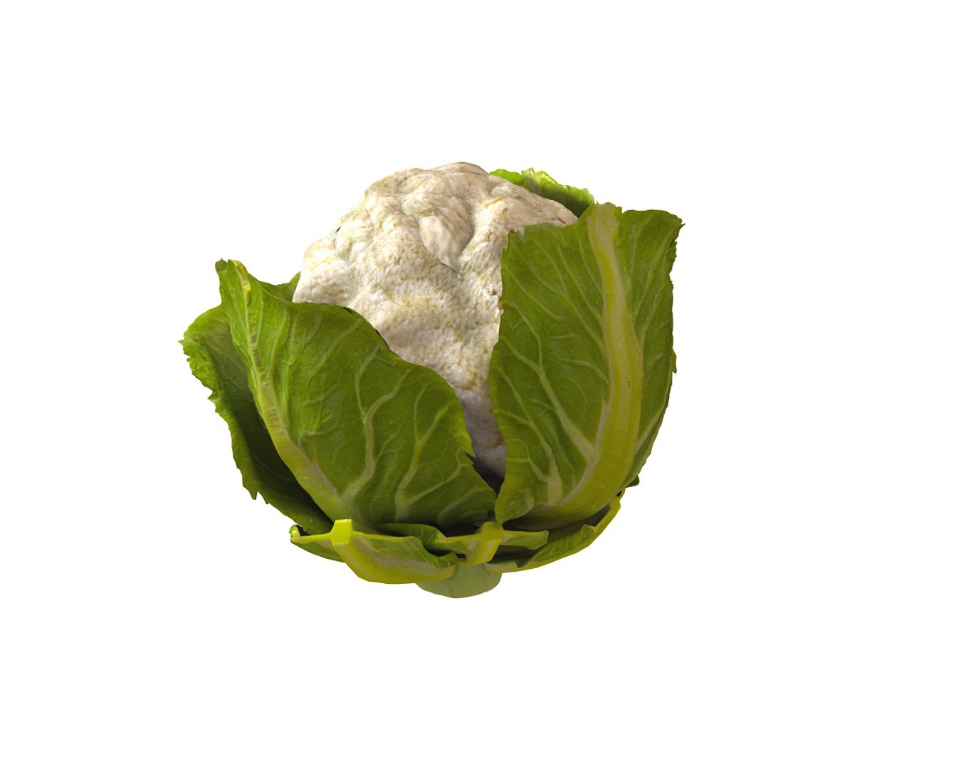 vegetables 3D https://p.turbosquid.com/ts-thumb/t6/QpyG6F/8lpnzjcx/1/jpg/1587317092/1920x1080/fit_q87/34bfac78b0bac77f576502ceb51cddbd39ef884d/1.jpg