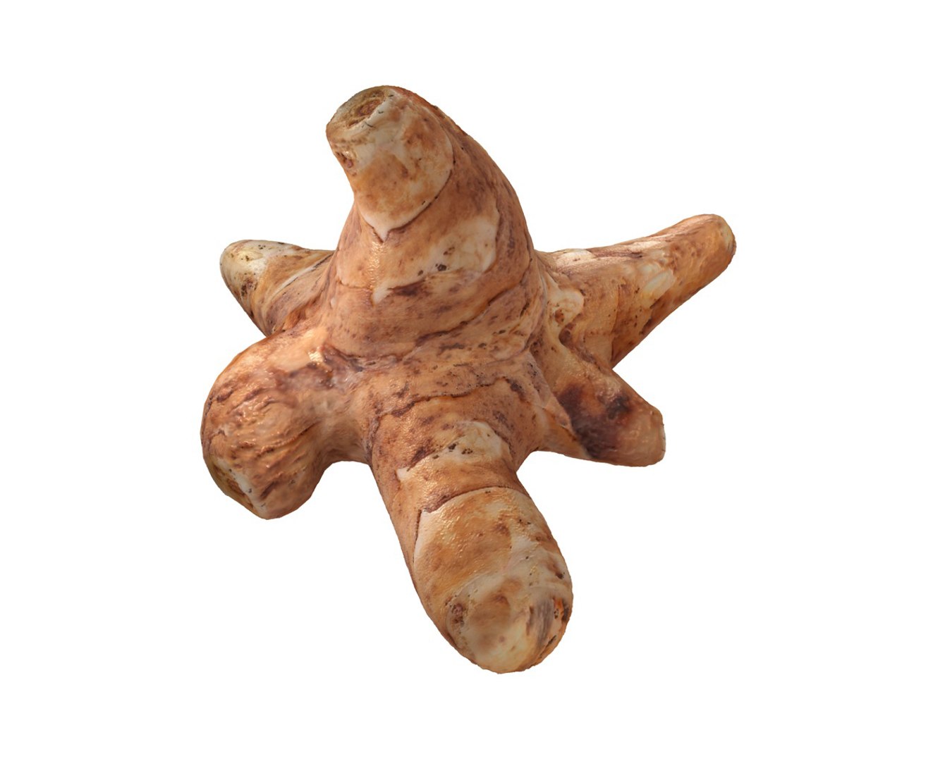 vegetables 3D https://p.turbosquid.com/ts-thumb/t6/QpyG6F/A2CO68nS/1/jpg/1587317649/1920x1080/fit_q87/ad62a6c7177f8f7932fda651b63031dd36775c3e/1.jpg