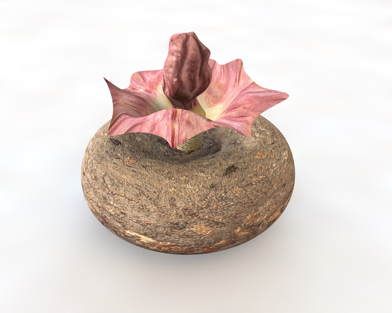 vegetables 3D https://p.turbosquid.com/ts-thumb/t6/QpyG6F/Geiy05Lr/1/jpg/1587317723/1920x1080/fit_q87/f494d22695ac5c903e7c6545d6993d4257a73cbc/1.jpg
