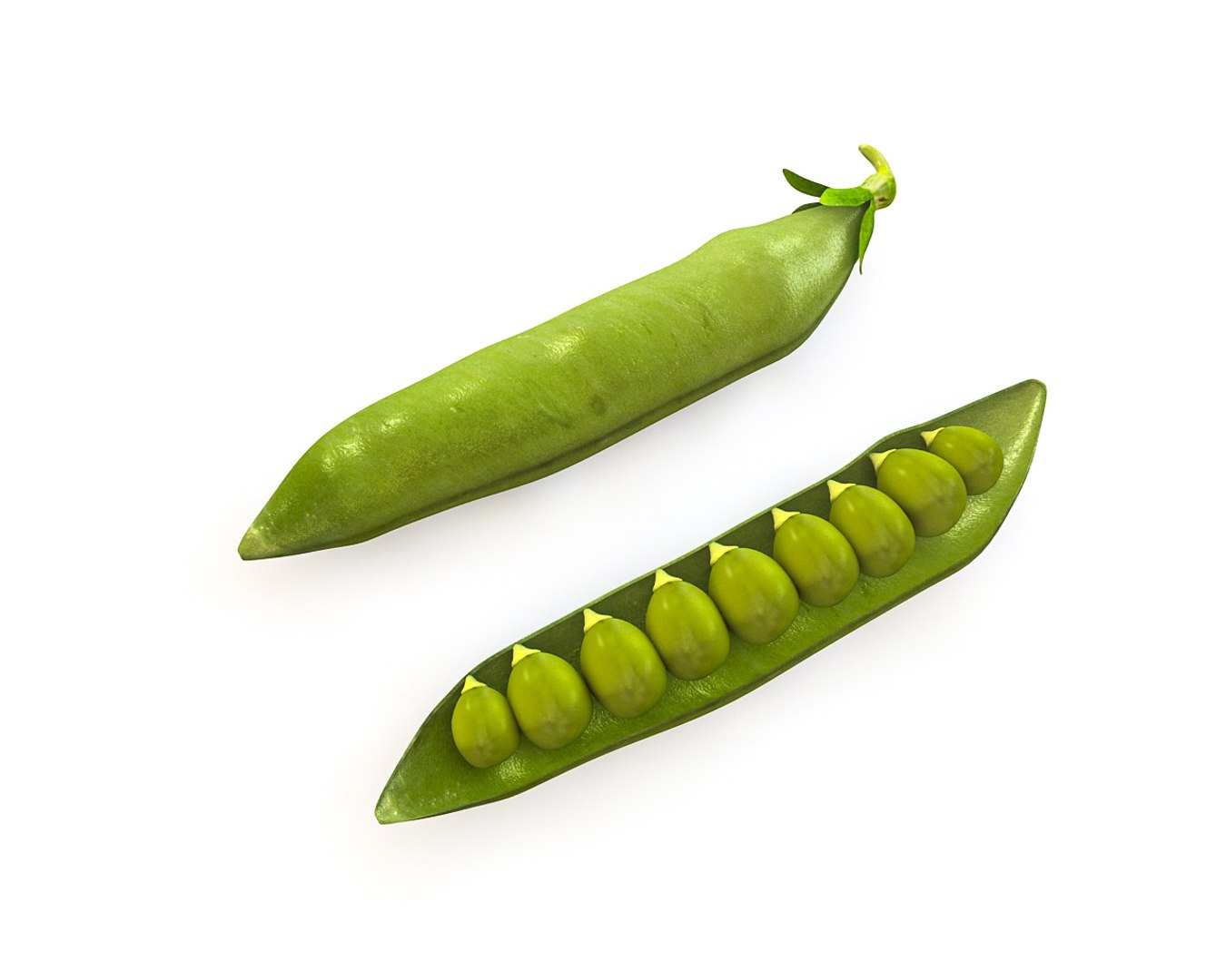 vegetables 3D https://p.turbosquid.com/ts-thumb/t6/QpyG6F/IR5hI115/1/jpg/1587317503/1920x1080/fit_q87/5c004a9e2b4a0a18a639bed1e4a82d8a323dba3e/1.jpg