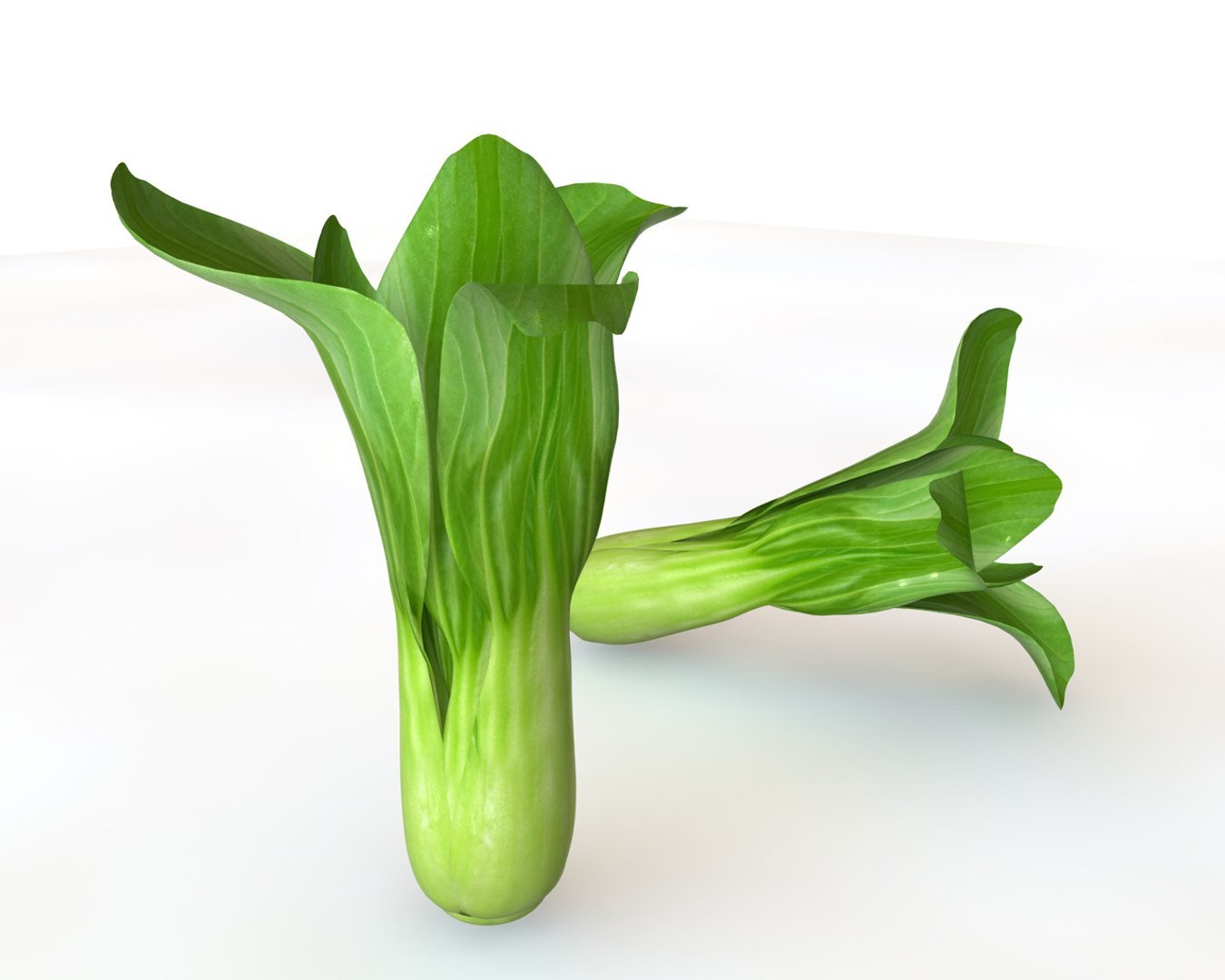 vegetables 3D https://p.turbosquid.com/ts-thumb/t6/QpyG6F/JeofxPGU/6/jpg/1587316974/1920x1080/fit_q87/cb67d05025b14844f6cda15ab1b687037d70e6c8/6.jpg