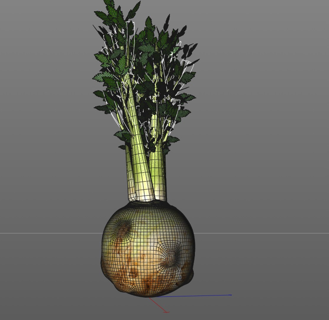 vegetables 3D https://p.turbosquid.com/ts-thumb/t6/QpyG6F/QR7g9CPV/11/jpg/1587317093/1920x1080/fit_q87/e8c4988e08ba0d98212f80686a92747cb23725d2/11.jpg