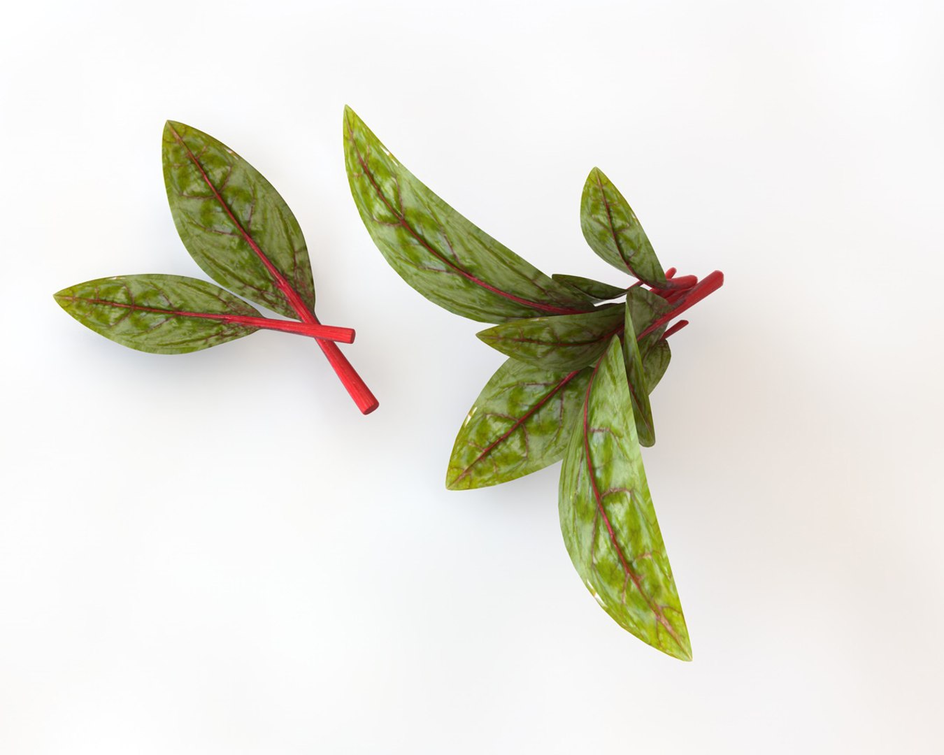 vegetables 3D https://p.turbosquid.com/ts-thumb/t6/QpyG6F/VxWsryXh/1/jpg/1587316891/1920x1080/fit_q87/3c4ca150824a48d40ad40588f53858d0c09918f0/1.jpg