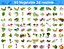 vegetables 3D