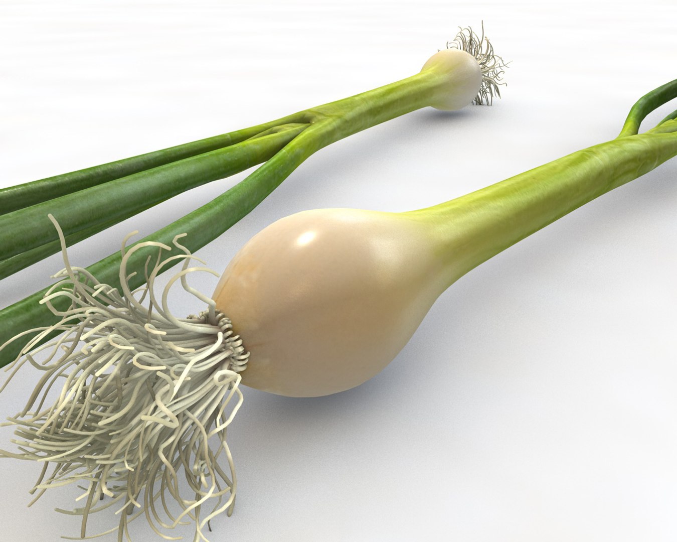vegetables 3D https://p.turbosquid.com/ts-thumb/t6/QpyG6F/XEhOuf8l/2/jpg/1587317272/1920x1080/fit_q87/8dcafa178f498b22c5a844dc4abc81be20d39a4d/2.jpg