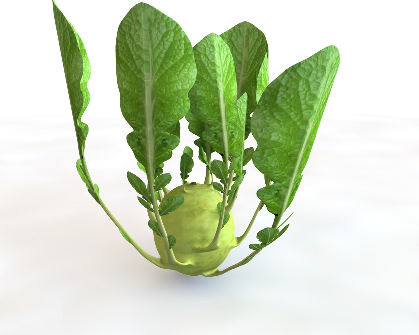 vegetables 3D https://p.turbosquid.com/ts-thumb/t6/QpyG6F/c9kPGfeI/1/jpg/1587317309/1920x1080/fit_q87/f04daab1334381c090e370e136e848b626c0cd9a/1.jpg