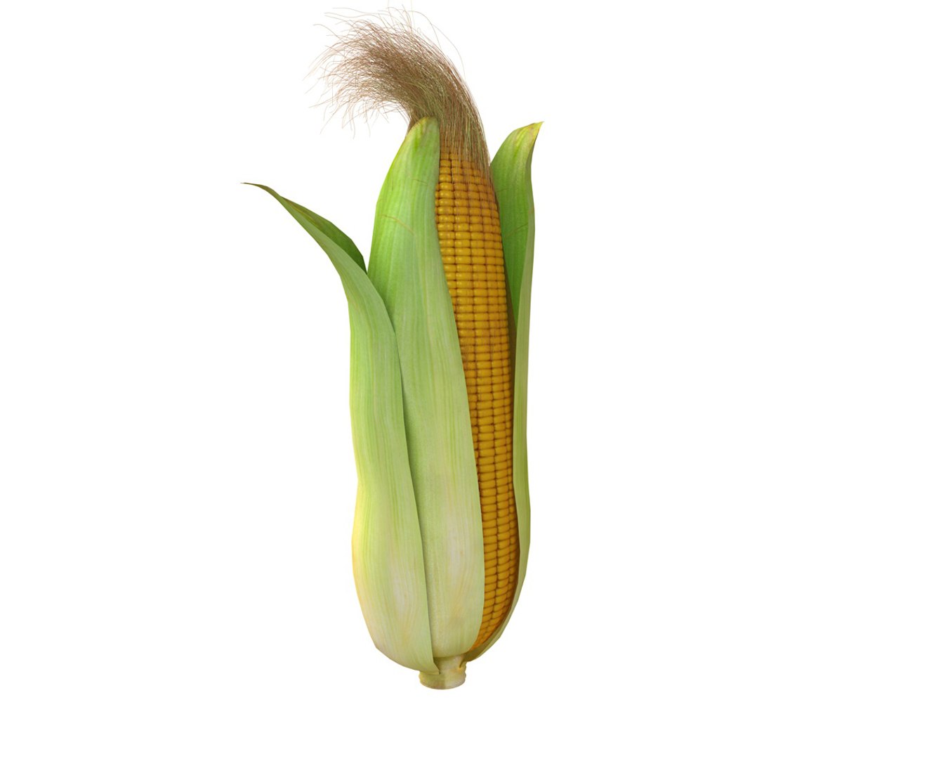 vegetables 3D https://p.turbosquid.com/ts-thumb/t6/QpyG6F/f5rSrQQv/2/jpg/1587317216/1920x1080/fit_q87/7f296414068d295a3163e2cde9065641c8c2ffe7/2.jpg