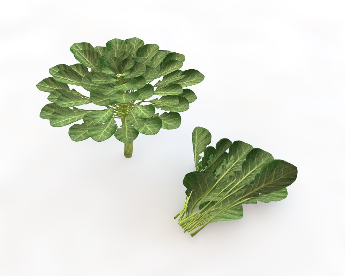 vegetables 3D https://p.turbosquid.com/ts-thumb/t6/QpyG6F/gWlQCG1g/1/jpg/1587317120/1920x1080/fit_q87/09b49de4f4142f92b9783f413e87d0e9befe2aa9/1.jpg