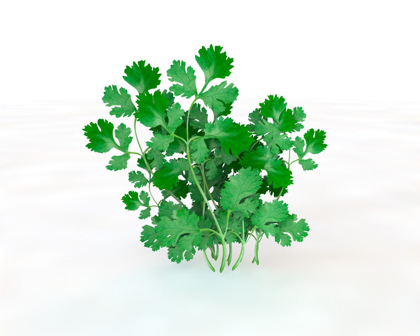 vegetables 3D https://p.turbosquid.com/ts-thumb/t6/QpyG6F/h3qUToxI/1/jpg/1587317201/1920x1080/fit_q87/d19b090fdc2a194b0a6cf9a8de8a5c79a9498718/1.jpg