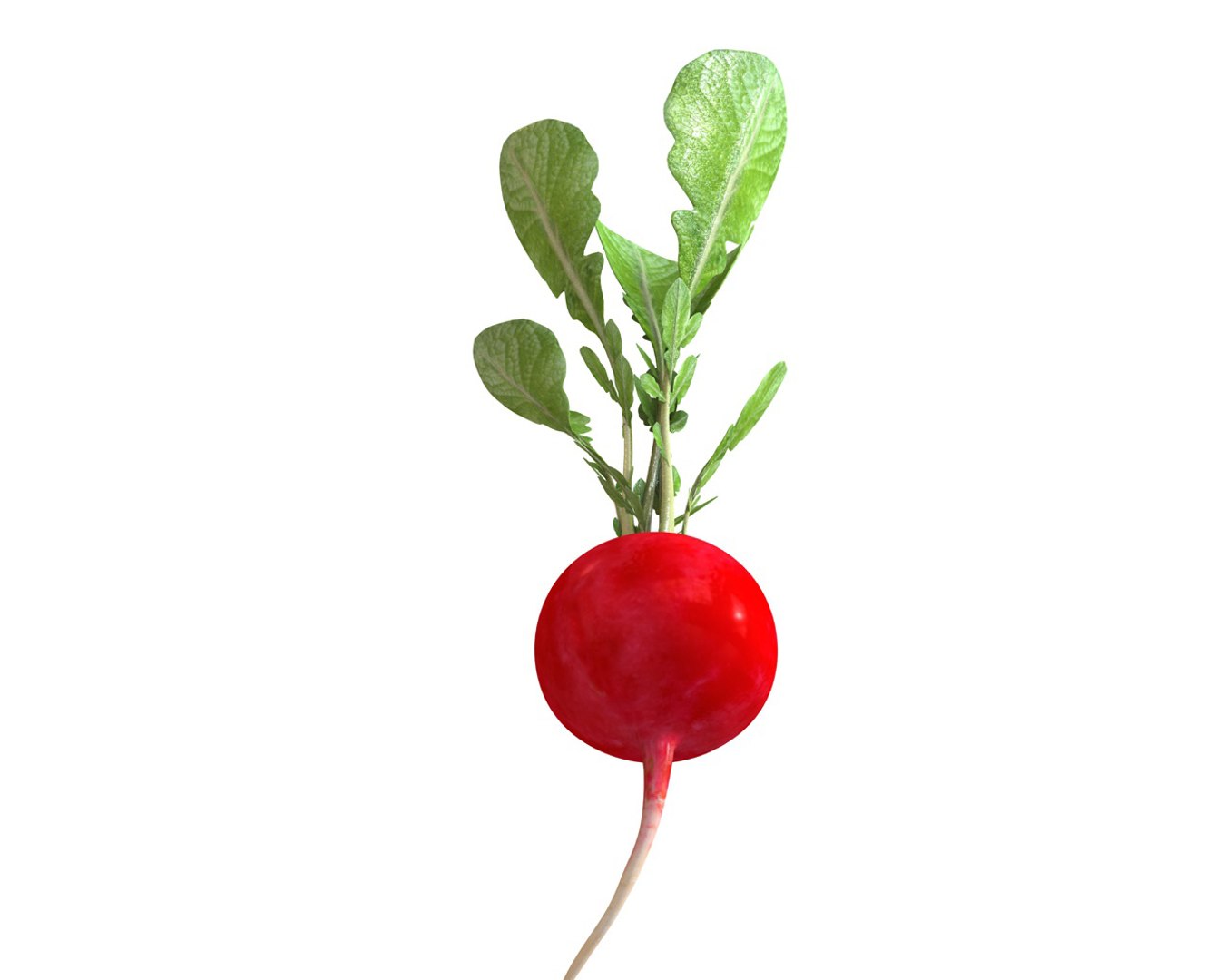 vegetables 3D https://p.turbosquid.com/ts-thumb/t6/QpyG6F/hLSFqU1w/4/jpg/1587317583/1920x1080/fit_q87/c6a7dbb881e71003d654ffff32d71273ea49acb5/4.jpg