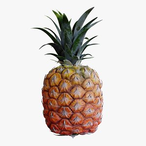 Realistic Pineapple Whole Fruit and Leaves