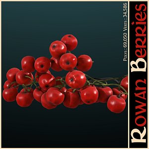 rowan berries 3d 3ds