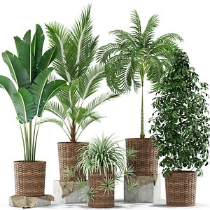 plants 356 3D model