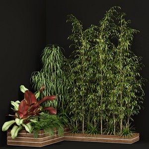 3D plants 201 model