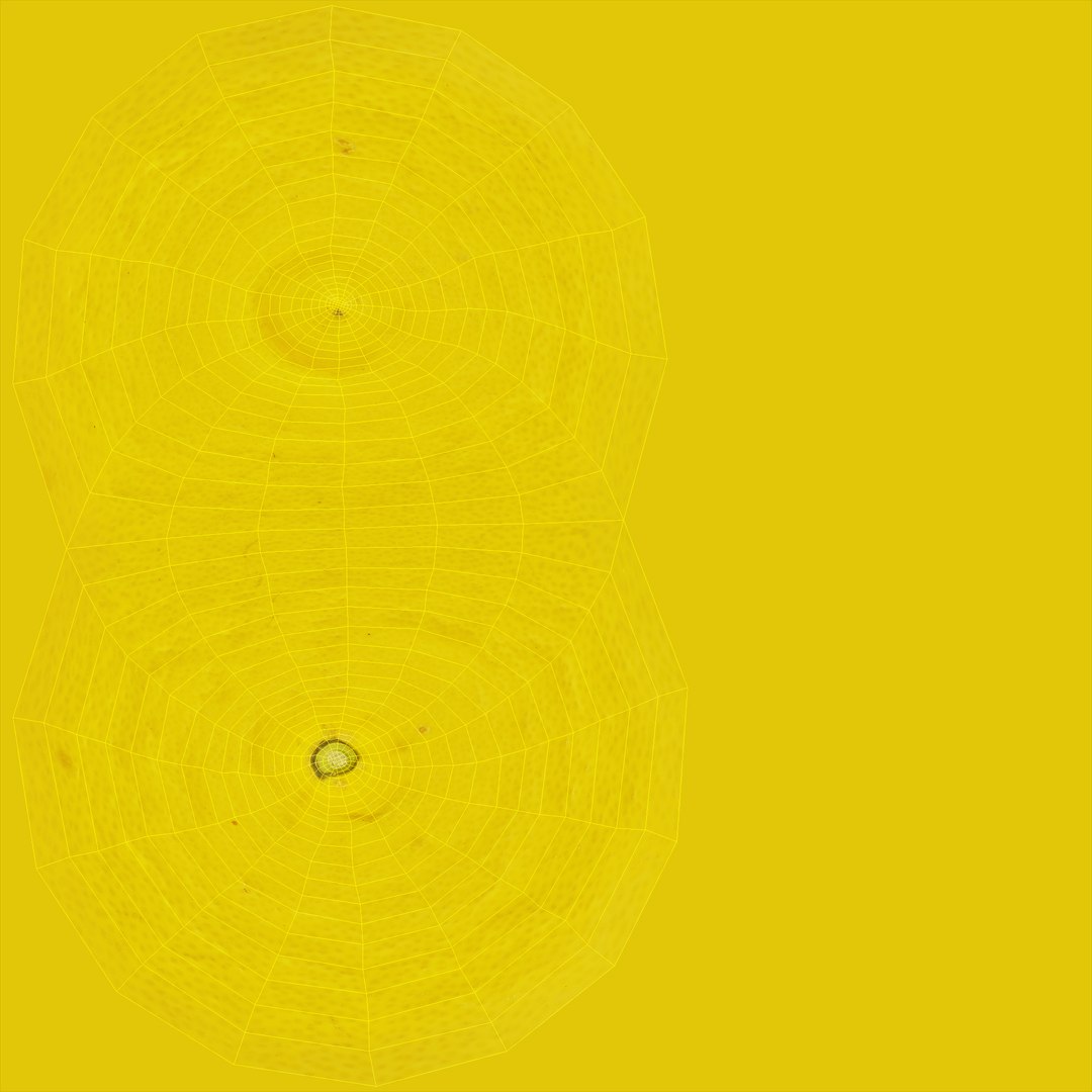 03 v-ray polys model https://p.turbosquid.com/ts-thumb/t6/yR77KP/JzG8tQEz/unwrap/jpg/1603350537/1920x1080/fit_q87/a86c79d3b3e5a44e4c71eaf7b2a2811d17697d8f/unwrap.jpg