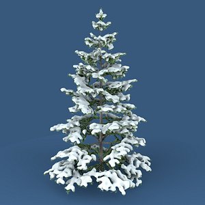 3D model Snowy Fir Tree