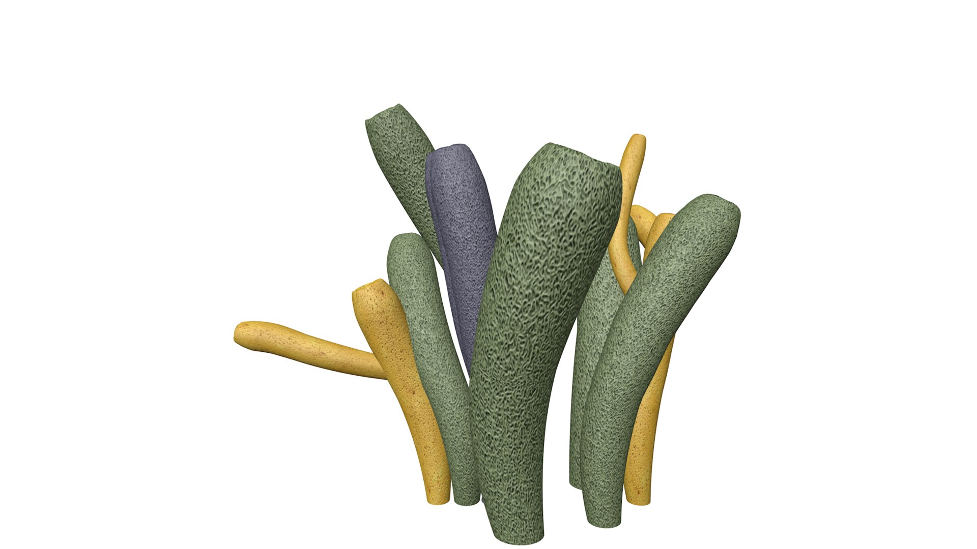3D Tube Sponge - 04 - - TurboSquid 2371850