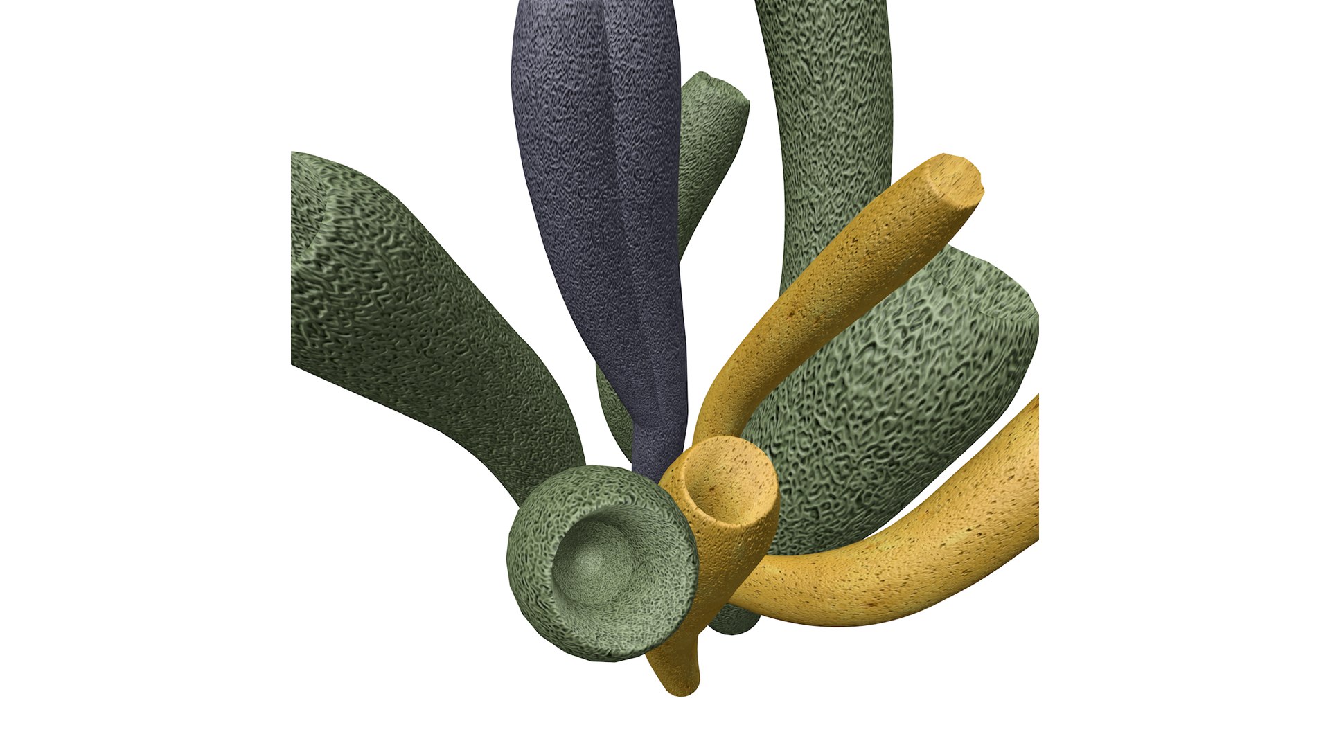 3D Tube Sponge - 04 - - TurboSquid 2371850