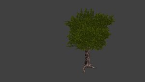 blender tree blender