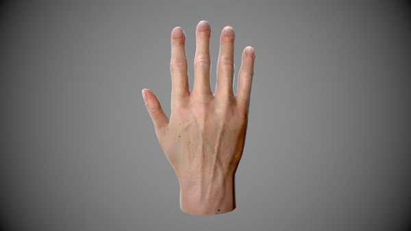 back of human hand