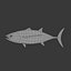 3dsmax tuna albacore