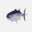3dsmax tuna albacore