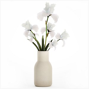 Beautiful white small bouquet in a vase with flowers Iris