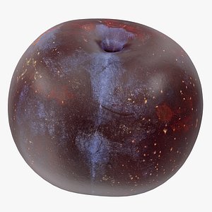 plum 02 3D