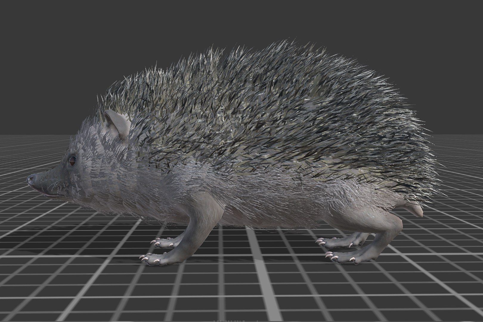 Hedgehog 3D - TurboSquid 2165460