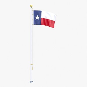 3D USA States texas Flag Stand Pole Animated