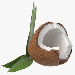 Prop 06 Coconut Half 3D model