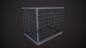 cage - silver 2k 3D