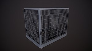 Metal Cage - Silver 2K