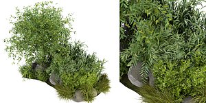 3D model Collection plant vol 244 - blender model